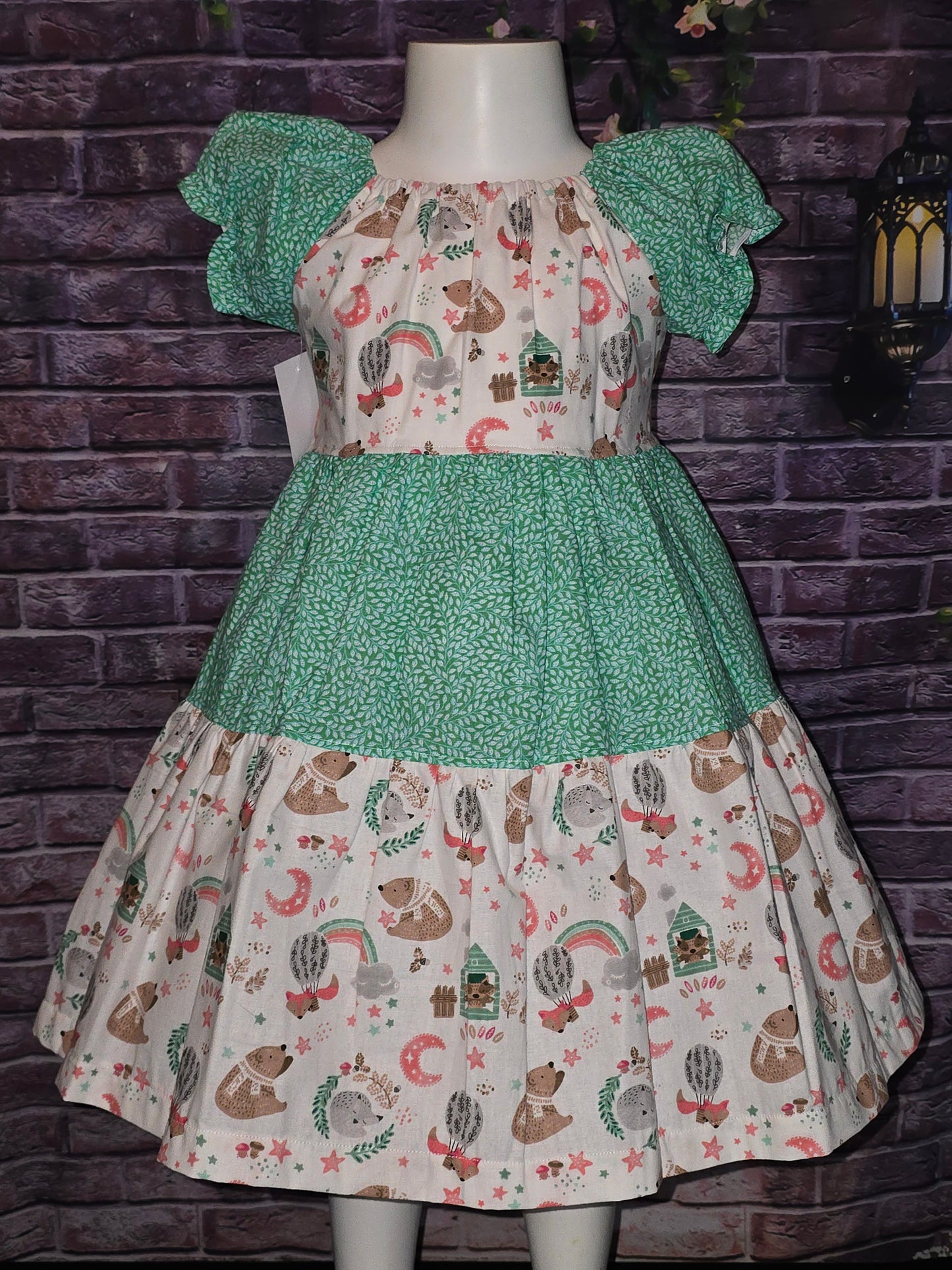 Woodland Animals and Rainbows Size 5 Dress