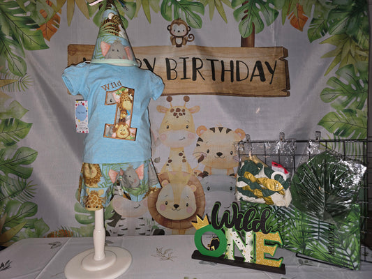 Wild One Size 18m Birthday Two Piece Set